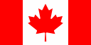 country flag icon